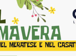 Nasce Util Primavera, un nuovo progetto per i giovani nel Meratese e nel Casatese