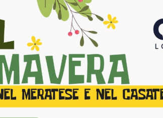 Nasce Util Primavera, un nuovo progetto per i giovani nel Meratese e nel Casatese