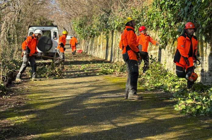 antincendio boschivo di rancio
